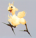Kochocobo